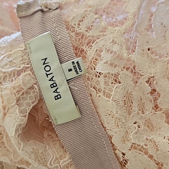 Babaton Powdered Light Pink Lace Short V Tapered Dress Sz. 8 - Picture 7 of 11